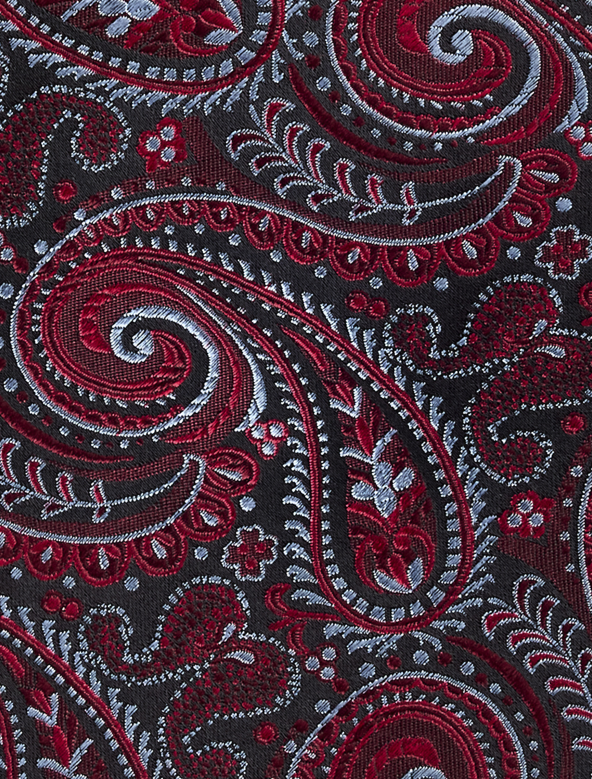 Exquisite Paisley Tie