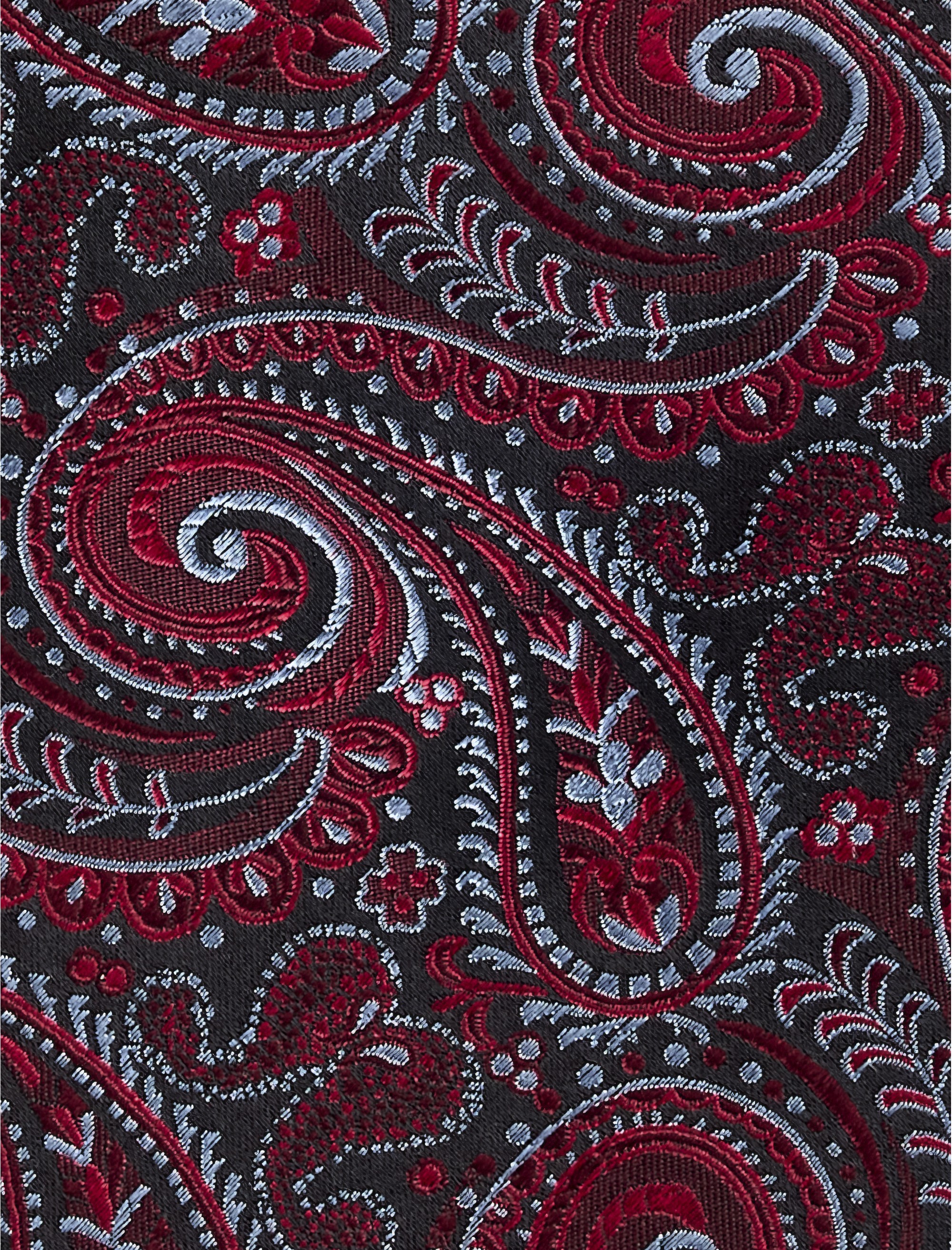 Exquisite Paisley Tie - thumbnail 2