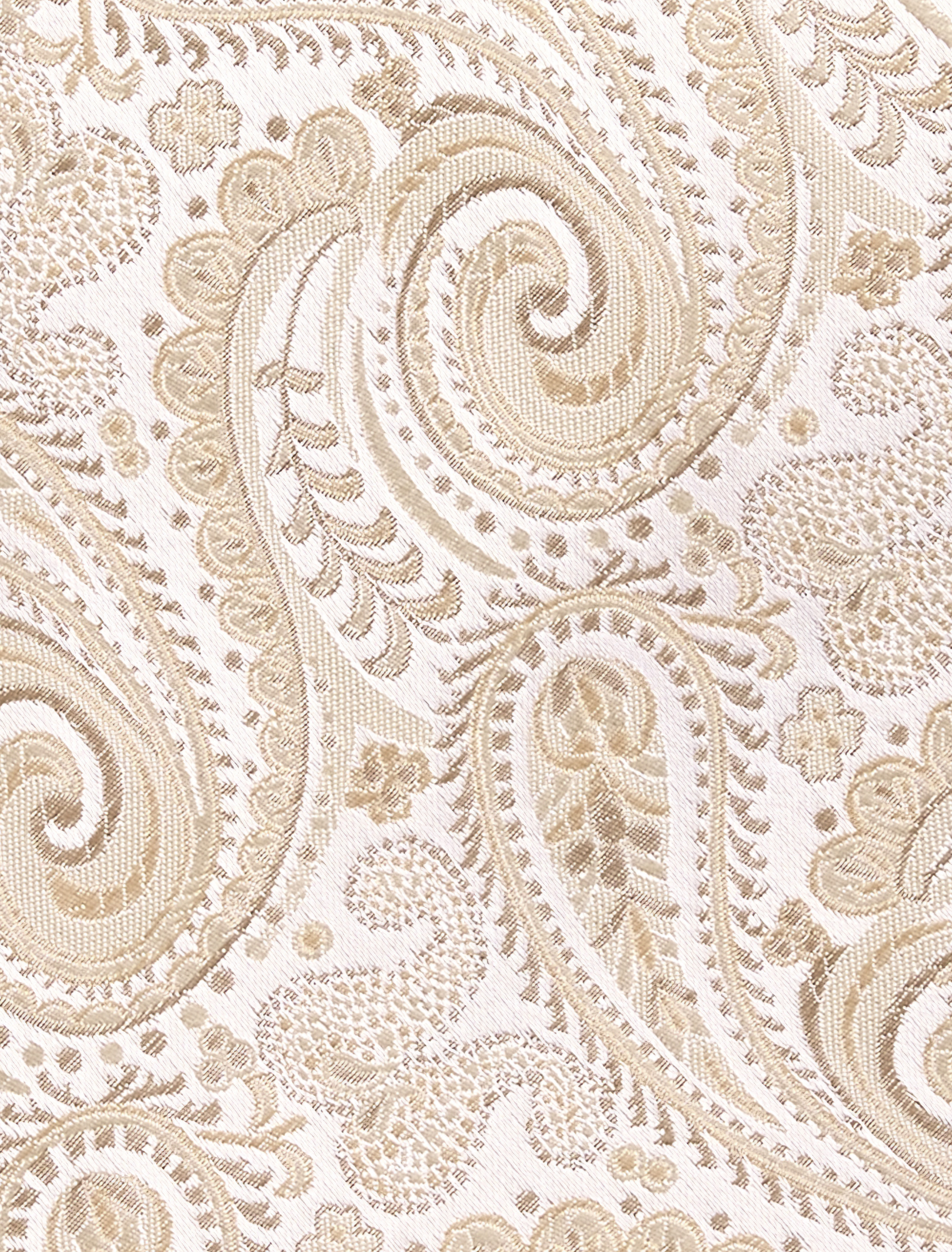 Exquisite Paisley Tie