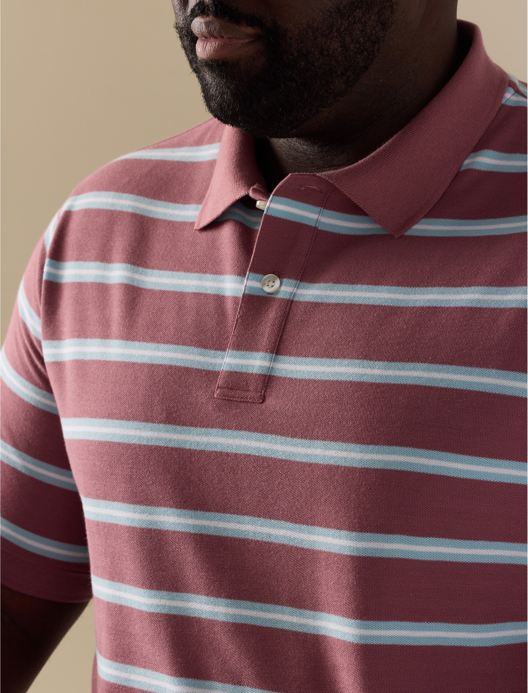 Multi-Stripe Polo Shirt - thumbnail 5