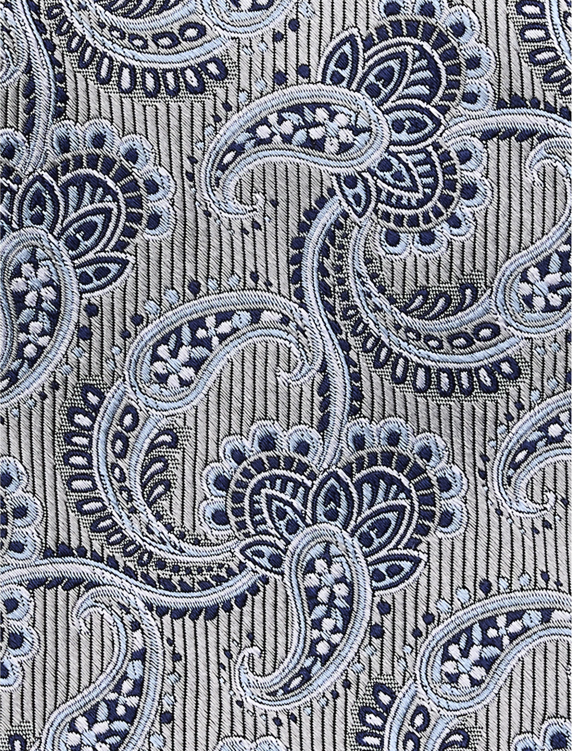 Paisley Vines Tie - thumbnail 4