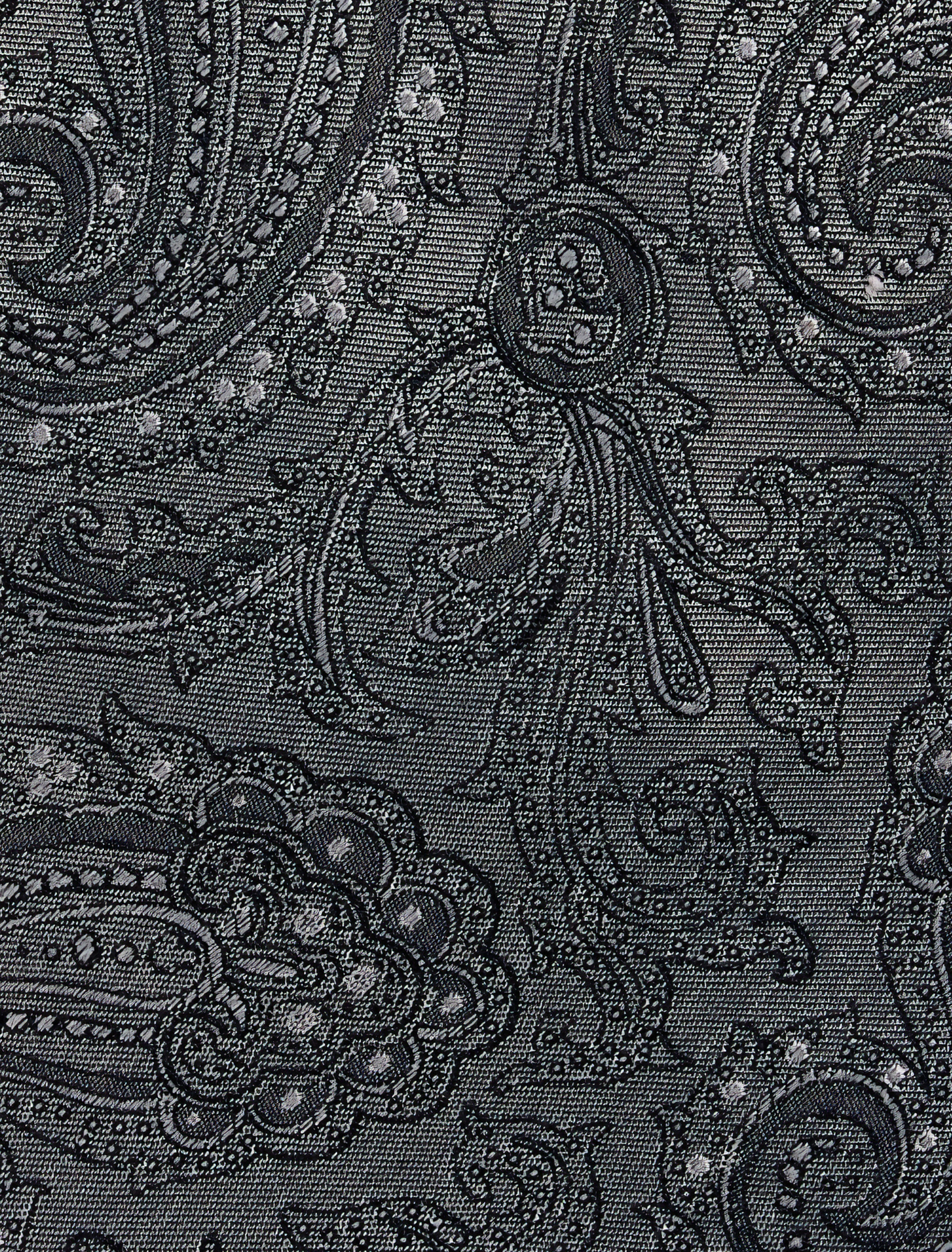 Tonal Paisley Silk Tie