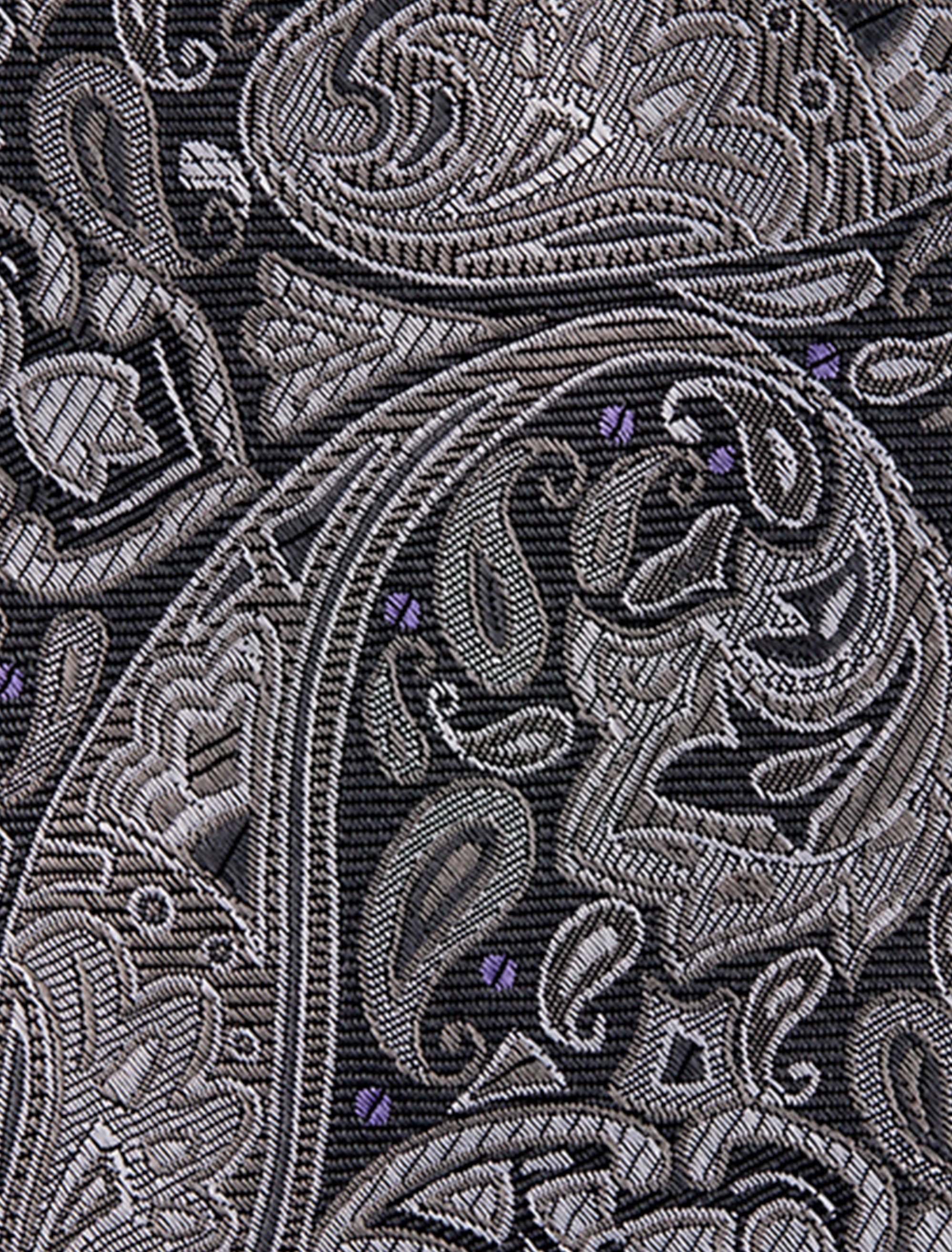 Fancy Paisley Tie