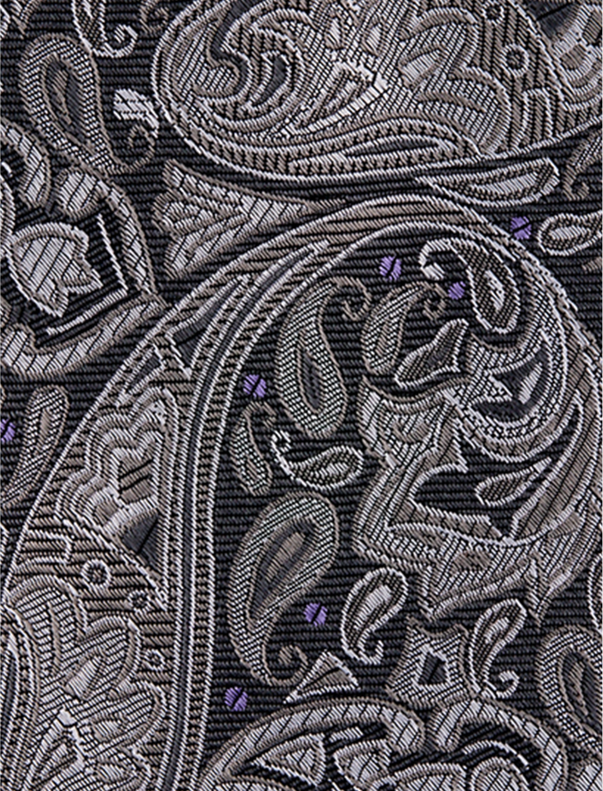 Fancy Paisley Tie - thumbnail 4