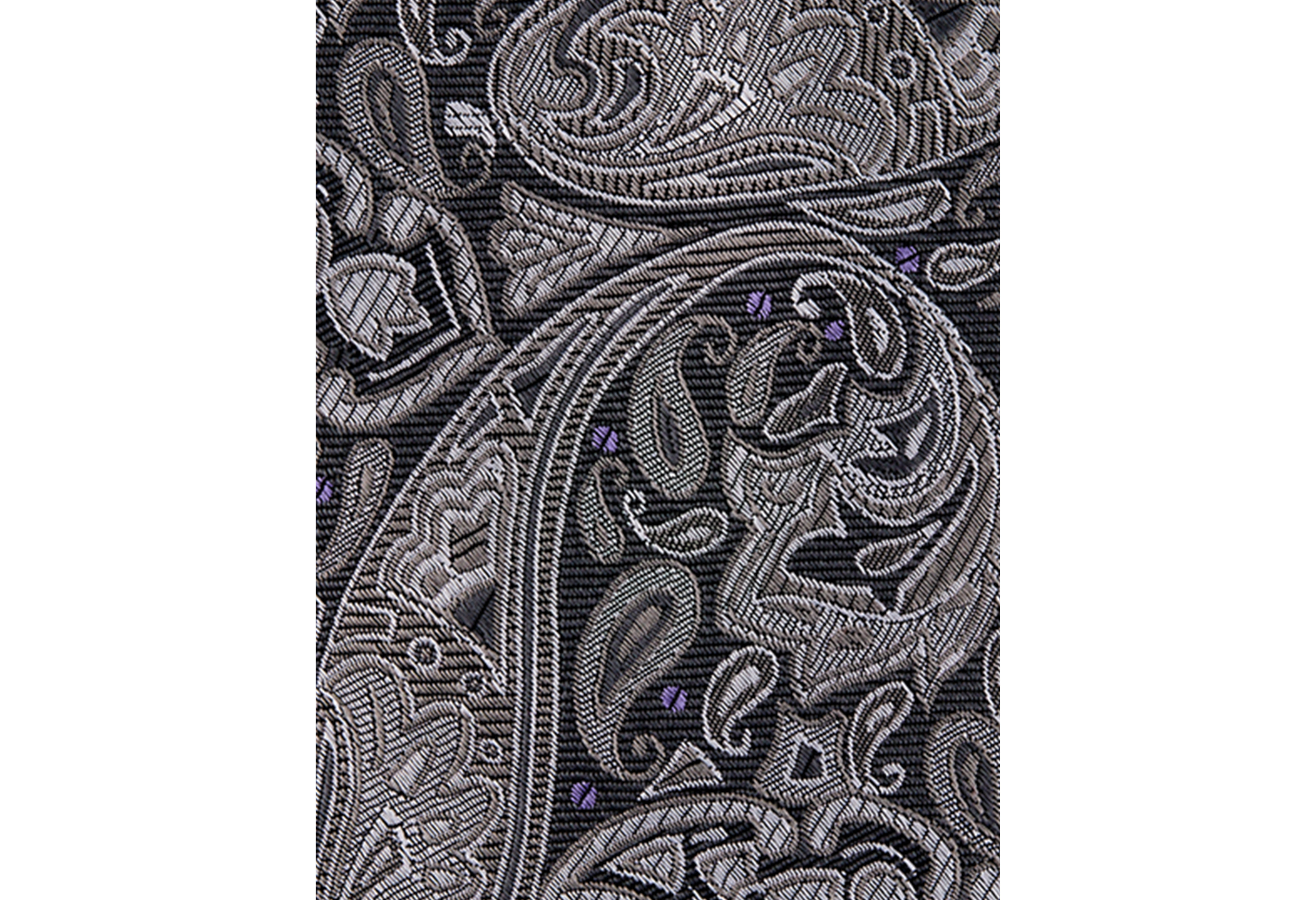 Fancy Paisley Tie