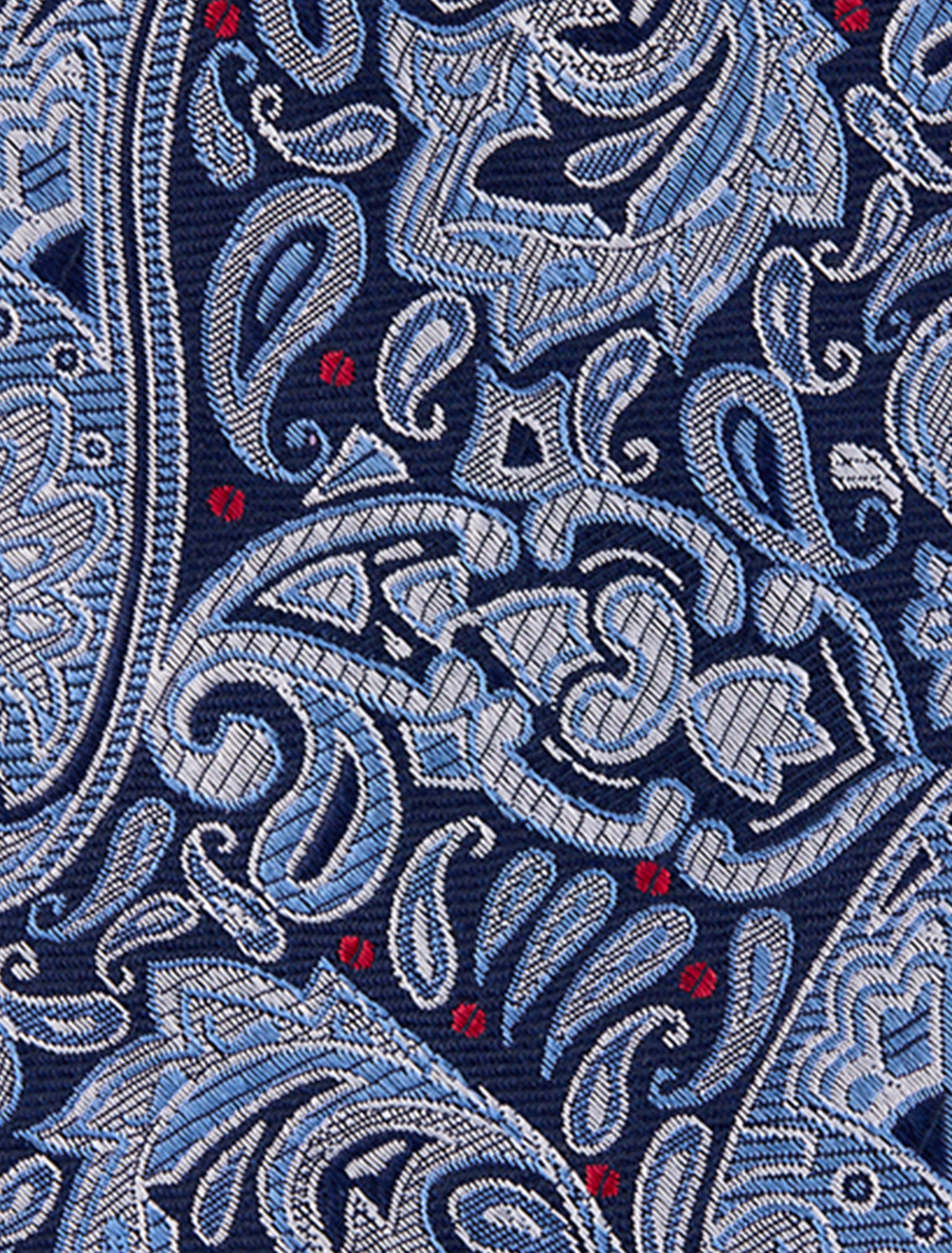 Fancy Paisley Tie