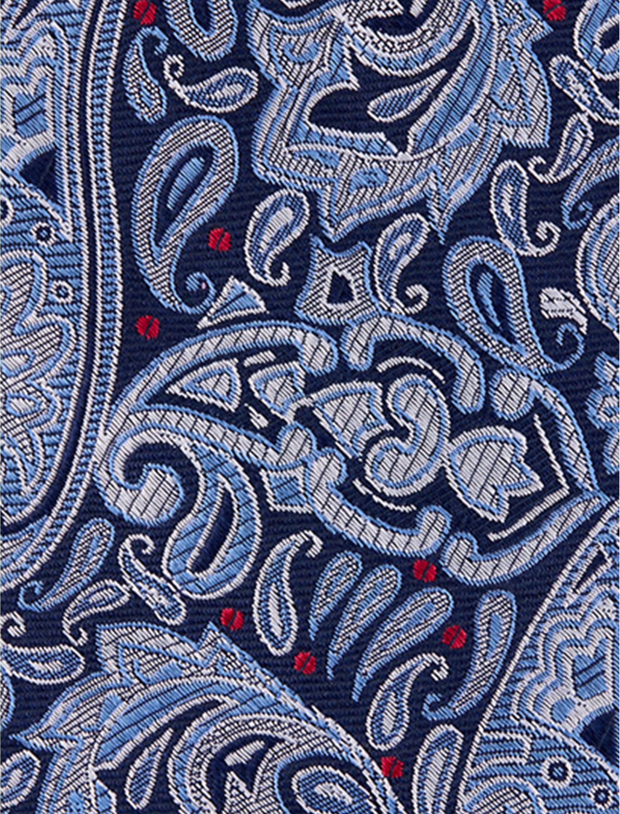 Fancy Paisley Tie - thumbnail 2