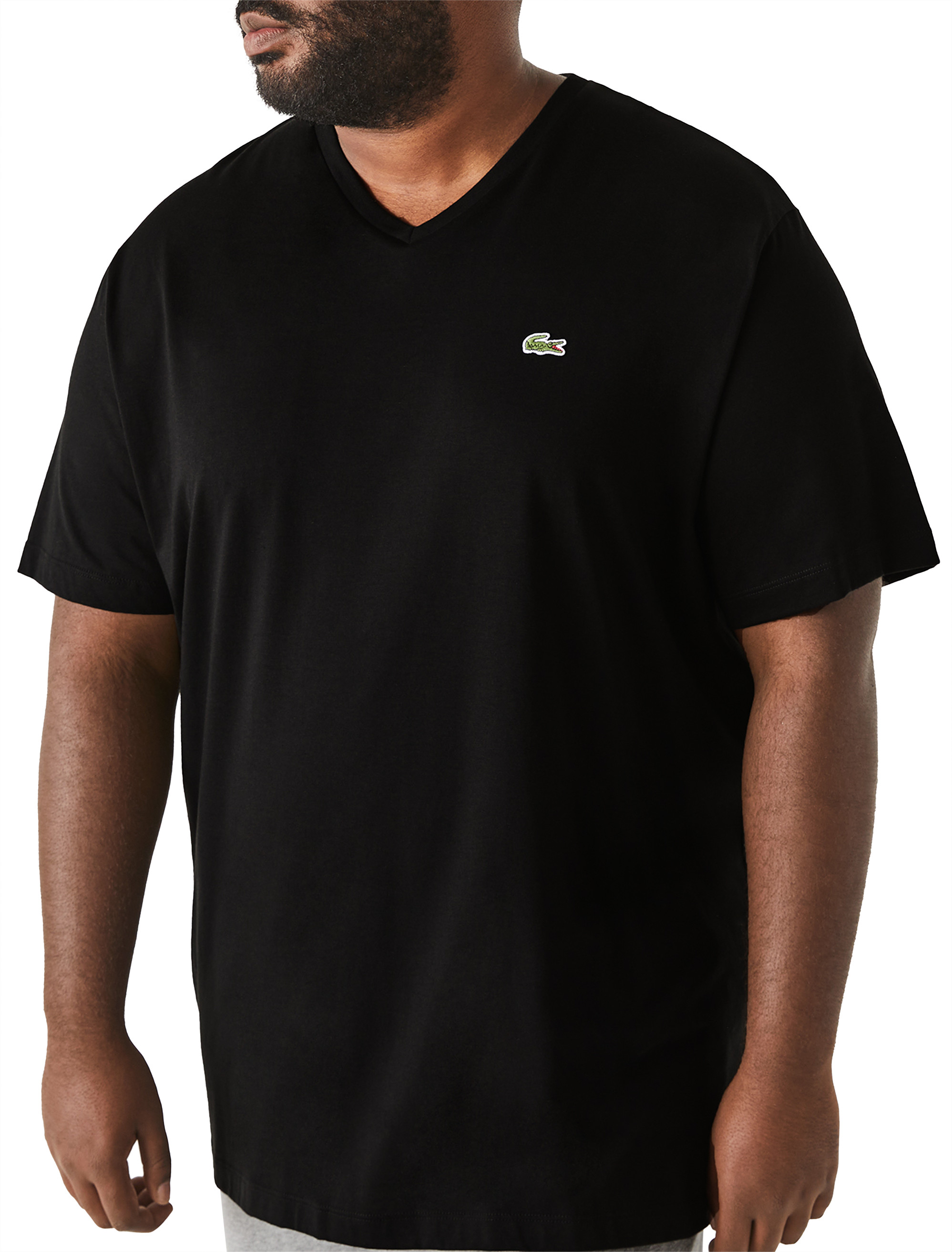 Big + Tall | Lacoste Jersey V-Neck T-Shirt | DXL